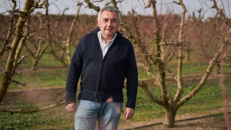 El futur del sector agroalimentari a Catalunya: reptes i oportunitats