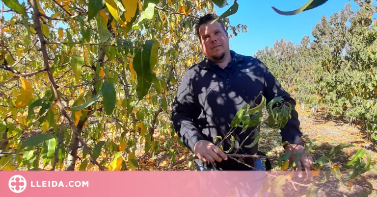 "M’ha semblat que algú deia que els fructicultors lleidatans complim la normativa"