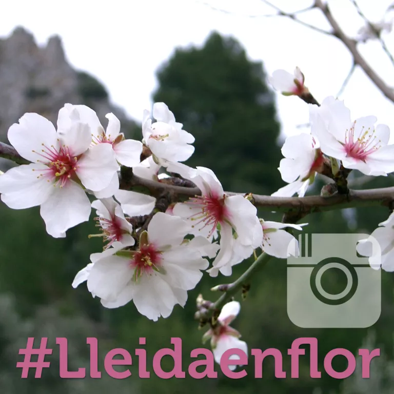 Repte Igers #Lleidaenflor: 2 entrades pel teatre