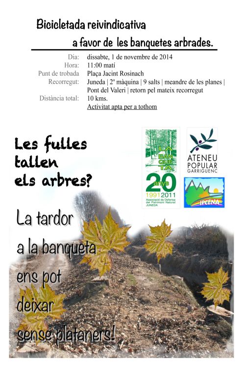 Pedalada reivindicativa a favor de les banquetes arbrades