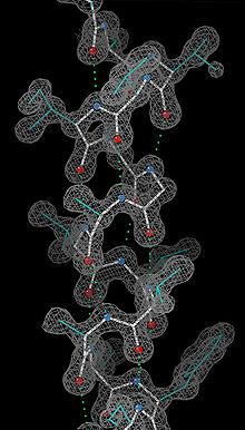 Conferència: Biologia estructural: Una mirada als components més petits de la vida