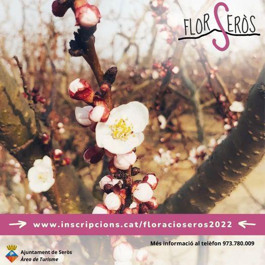 FlorSeròs Experience
