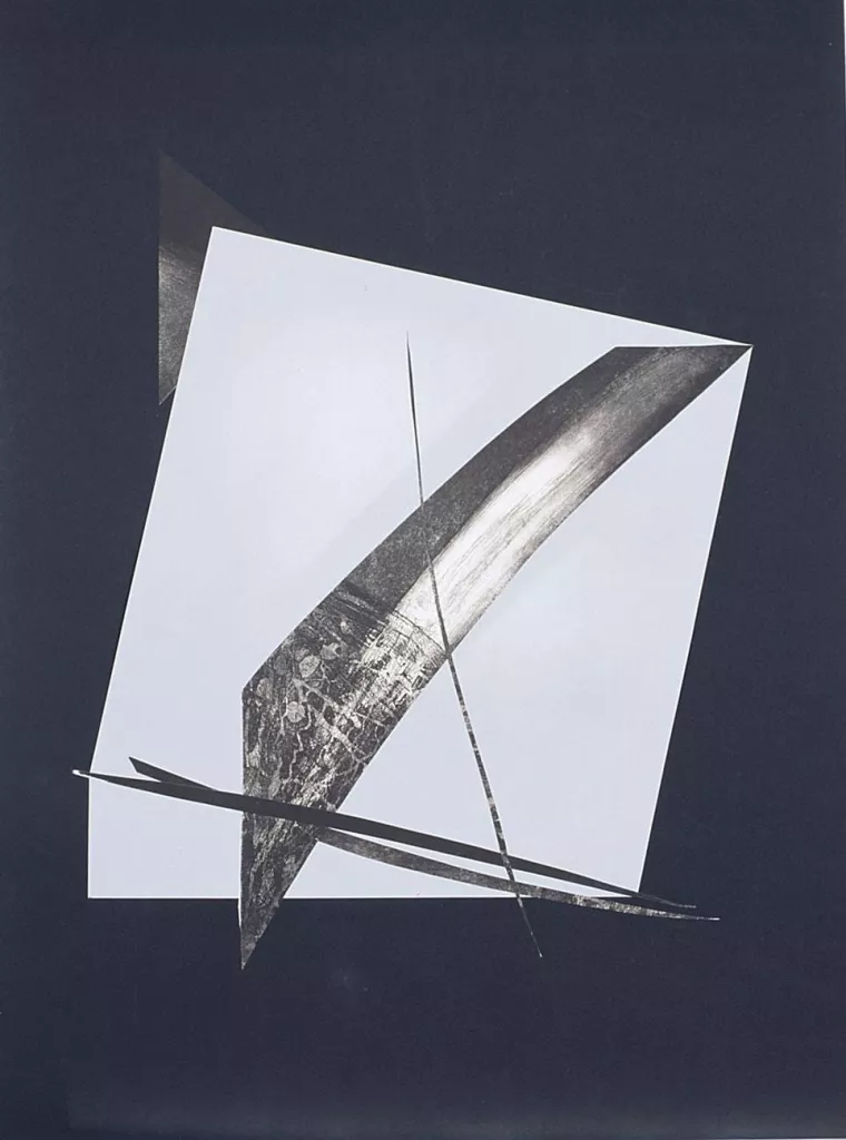 Felícia Fuster. ​Haikús visuals Fundació Vallpalou