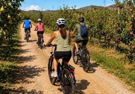 Ruta cicloturística: Pedalant entre fruiters