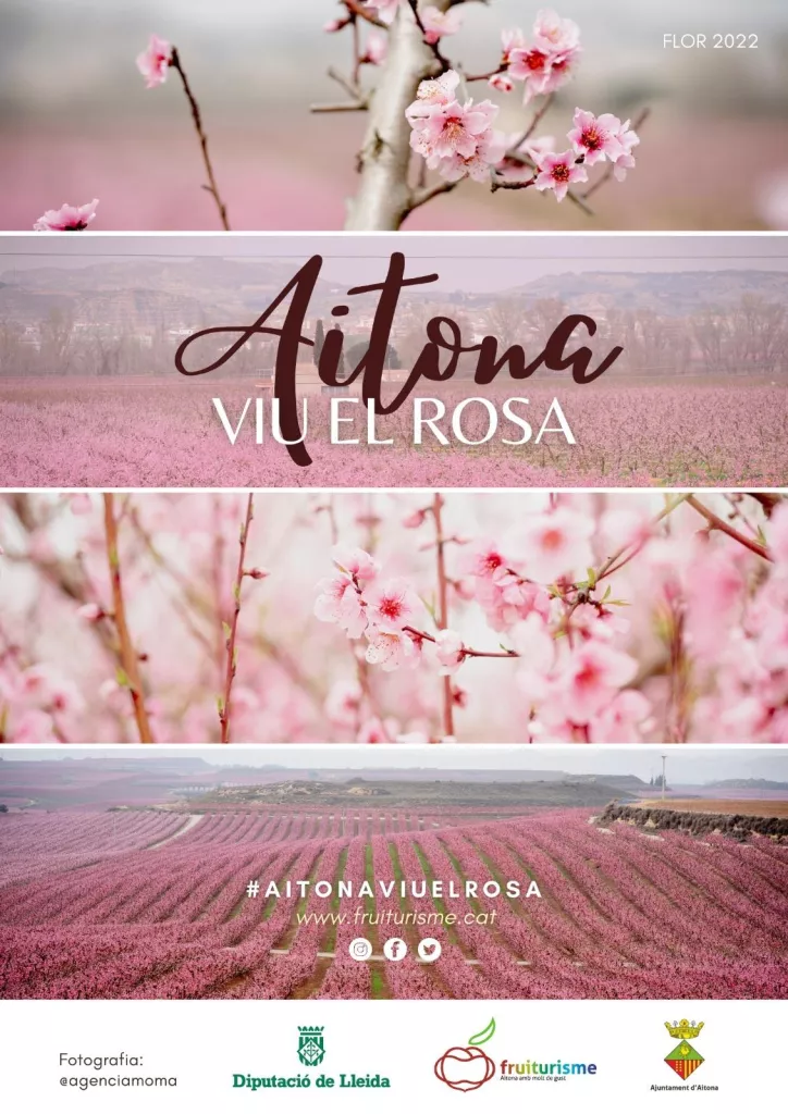 Aitona viu el rosa