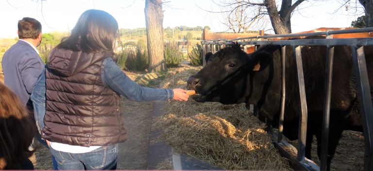 Engranja’t a l’Horta de Lleida