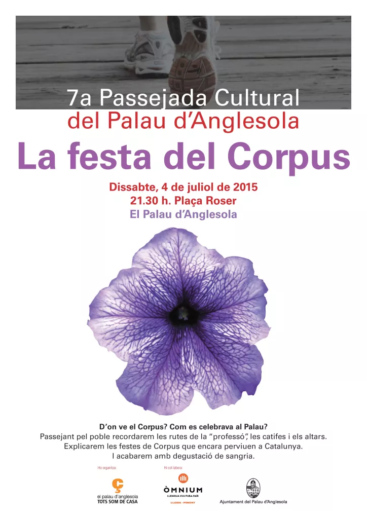 Passejada Cultural al Palau d'Anglesola
