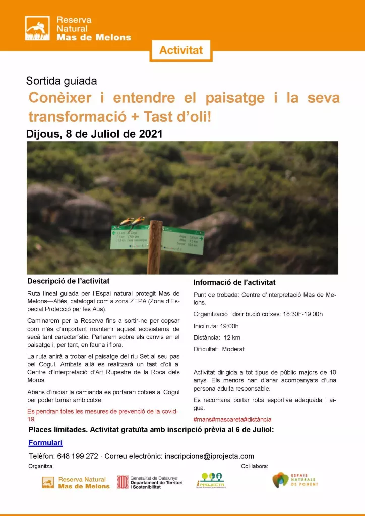 Conèixer i entendre el paisatge i la seva transformació + Tast d’oli!