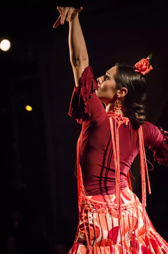 Mariona Puigdemasa flamenco