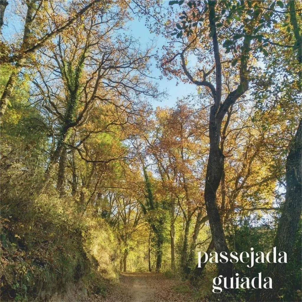 Castellvell i riera de Pallarès. Bressol de vida de la ciutat de Solsona