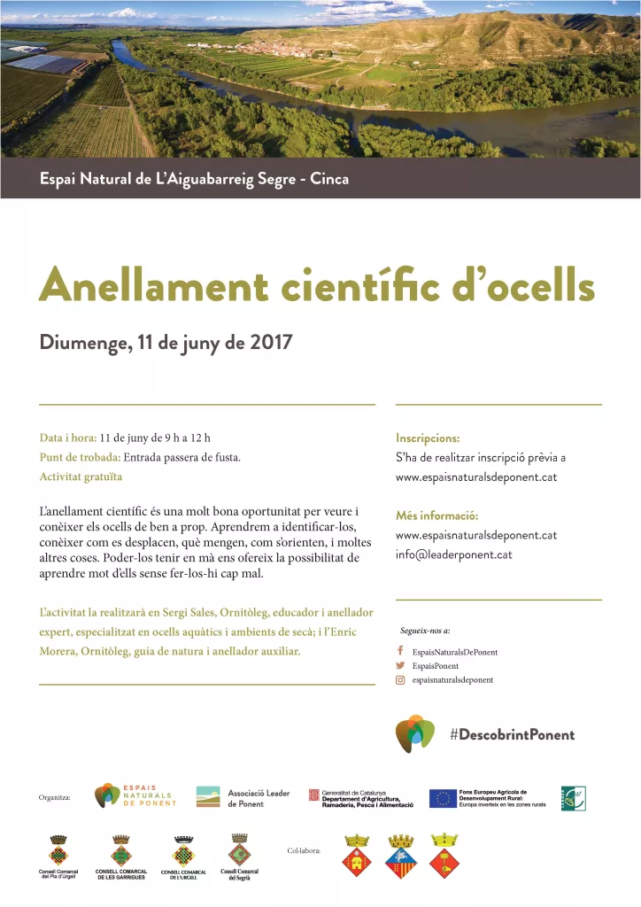 Anellament científic d'ocells