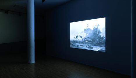 Una de les videocreacions que Bayona exhibirà a Balaguer / ALBERT BAYONA