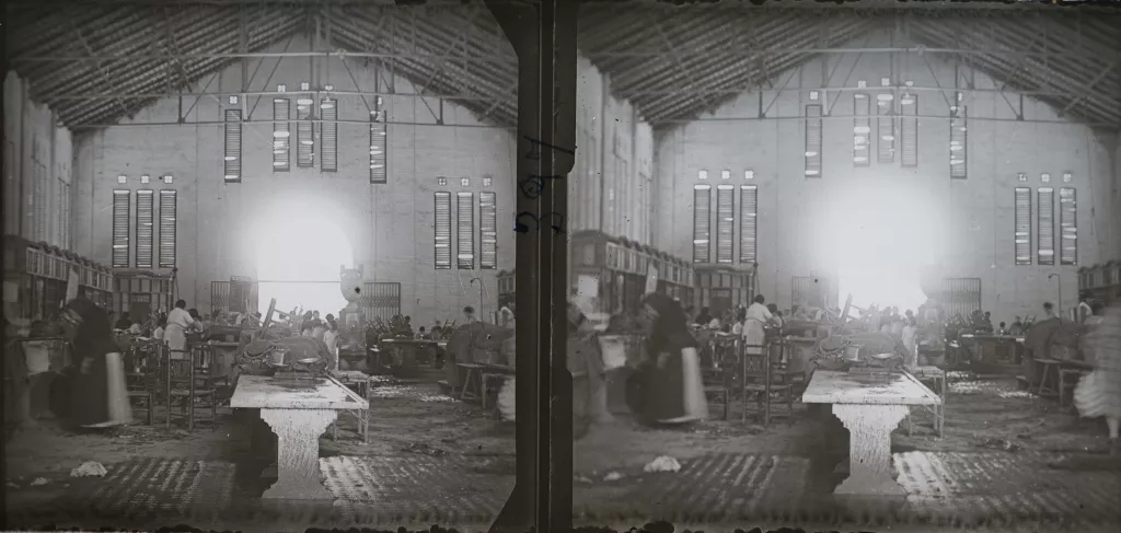 'Fotografia en relleu: La fotografia estereoscòpica a les comarques de Lleida'