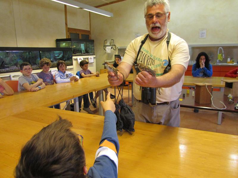 Tallers de nens d'anellament d'ocells / SEGRE