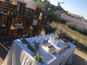 Fira tasta i artesania i festa infantil