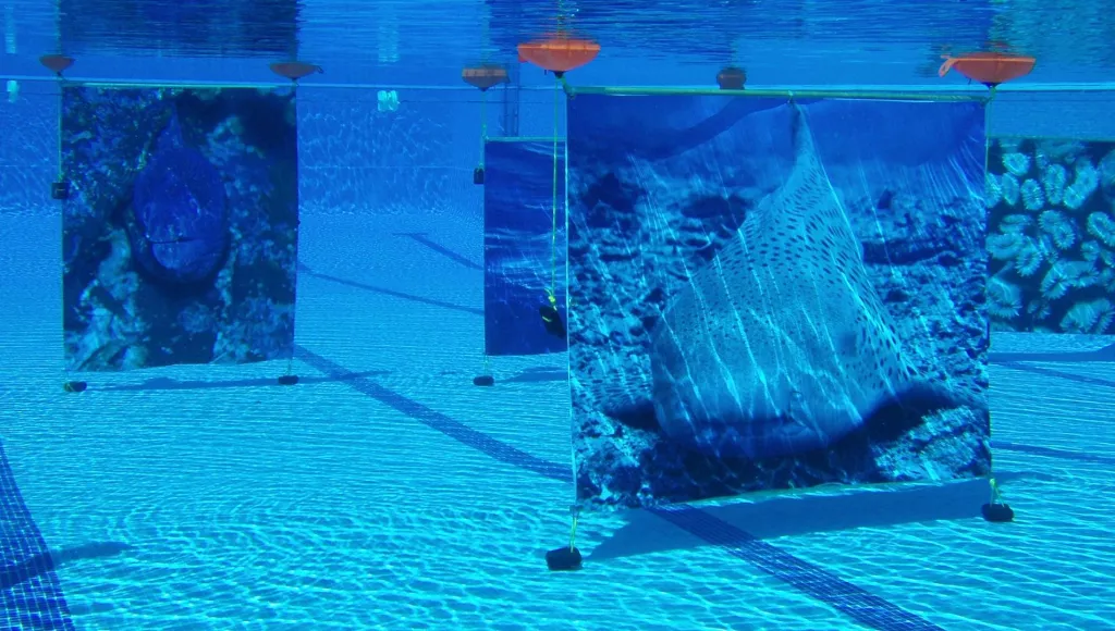 'Artquatic'