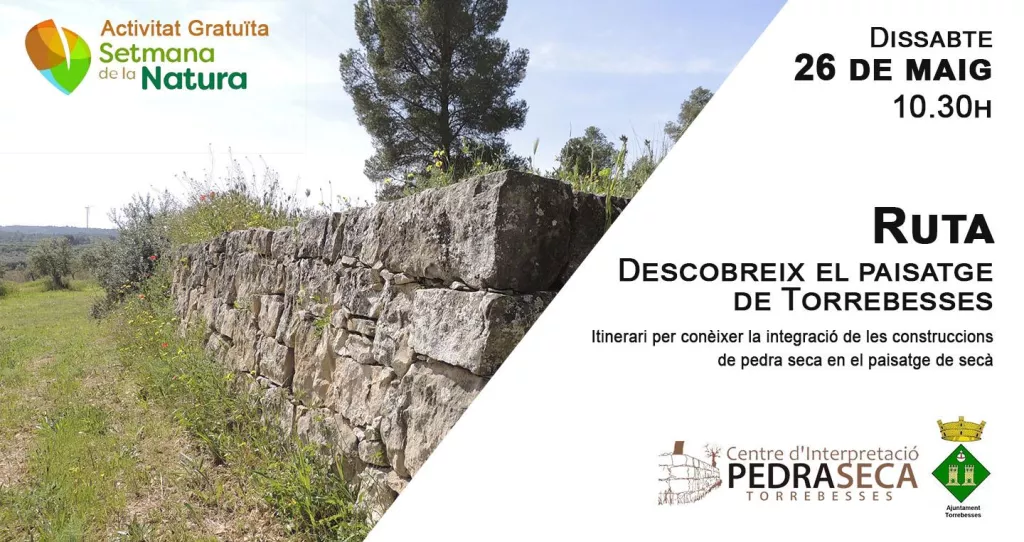 Itinerari: "Descobreix el paisatge de Torrebesses"