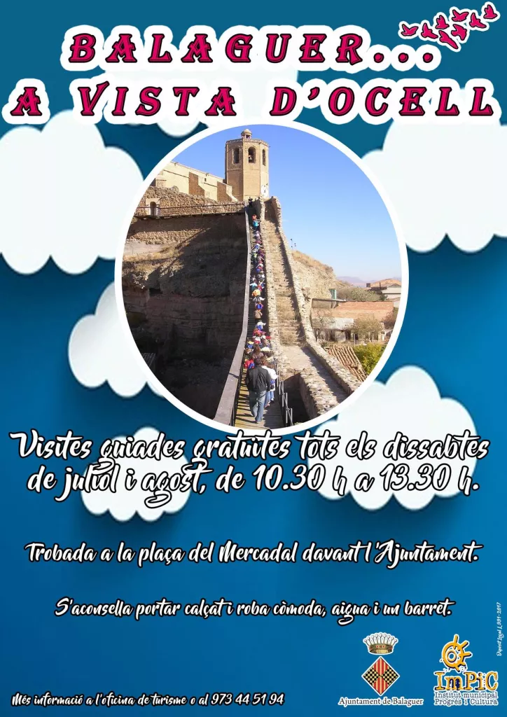 'A vista d'ocell'