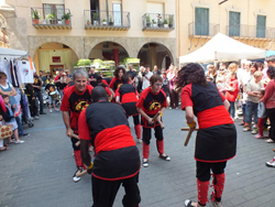 Diada Bastonera de Balaguer