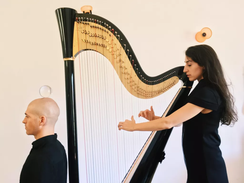 'Acrobàcies sonores'