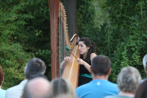 Berta Puigdemasa durant un concert / SEGRE