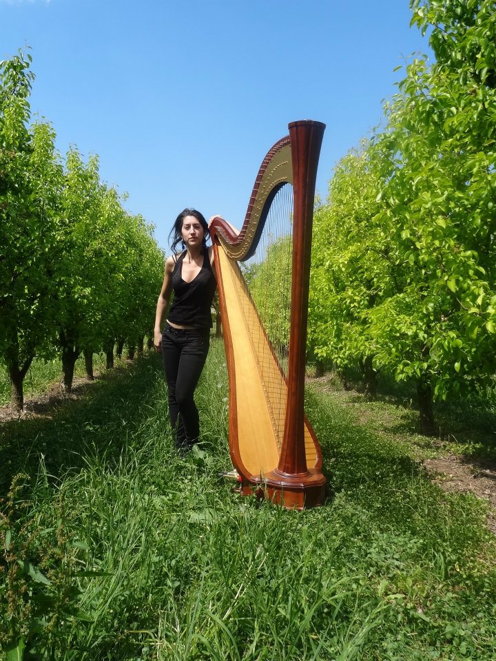 Actuació musical amb arpa