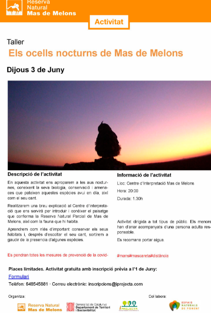 Els ocells nocturns de Mas de Melons