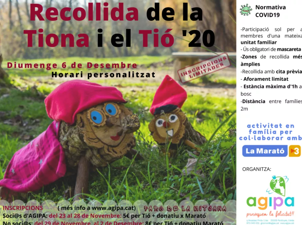 Recollida del Tió i la Tiona