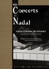 Viatge d'hivern (Schubert)