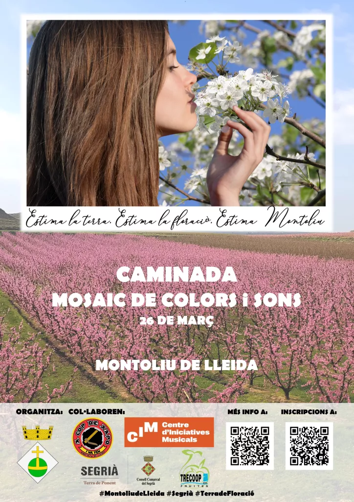 Caminada "Mosaic de colors i sons"