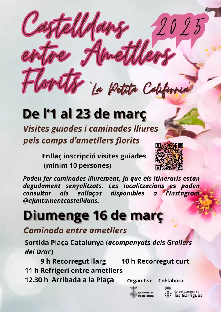 Castelldans entre ametllers florits