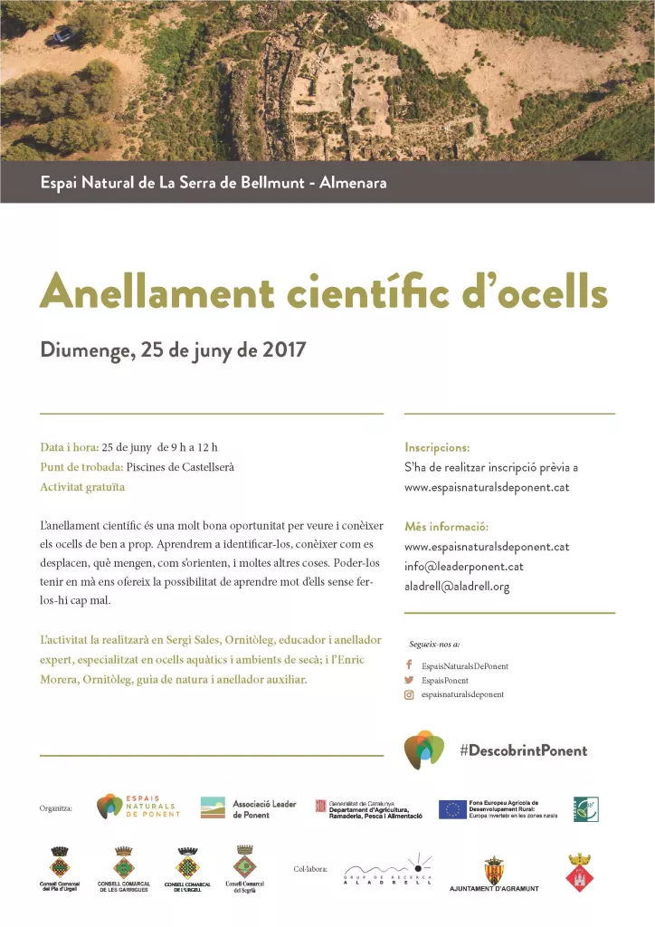 Anellament científic d'ocells
