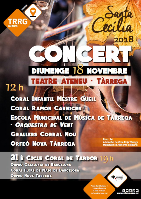 Concert benèfic de Santa Cecília