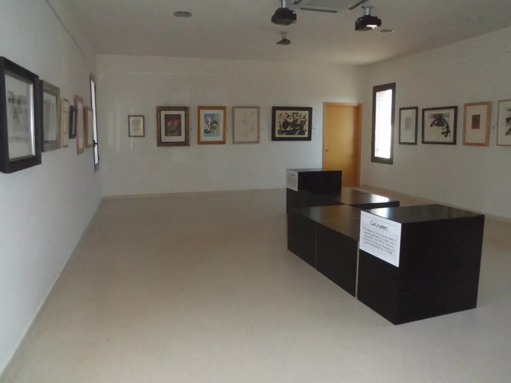 Icones de l’Art gràfic contemporani internacional