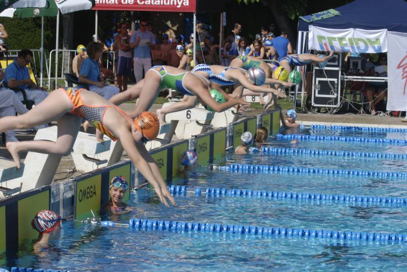 Campionat de Catalunya de Natació