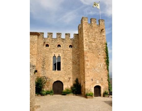 Visites Castell Montsonís i Florejacs
