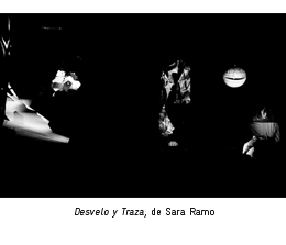 Desvelo y Traza