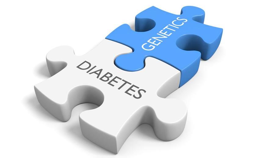 Xerrada: "El paper de la Microbiota intestinal en la diabetis"