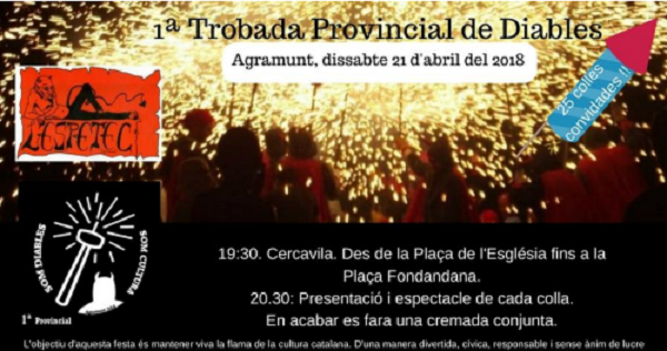 Trobada Provincial de Diables