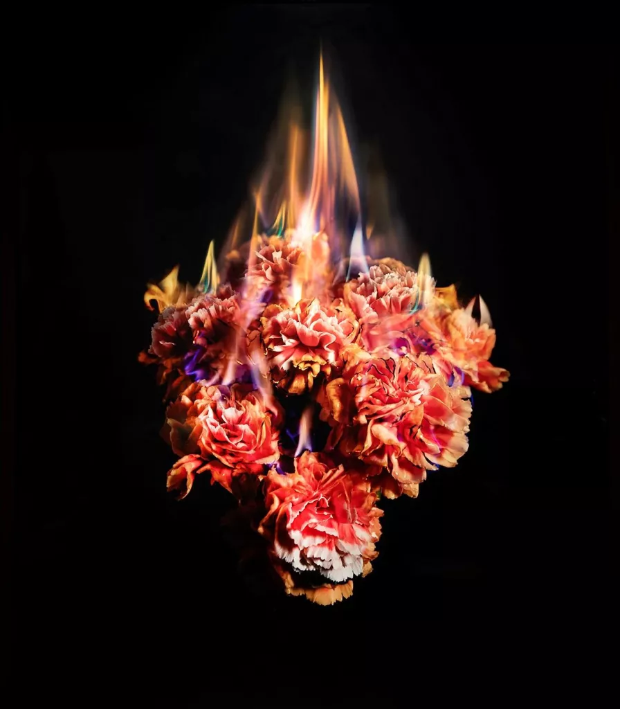 Mat Collishaw. The End of Innocence
