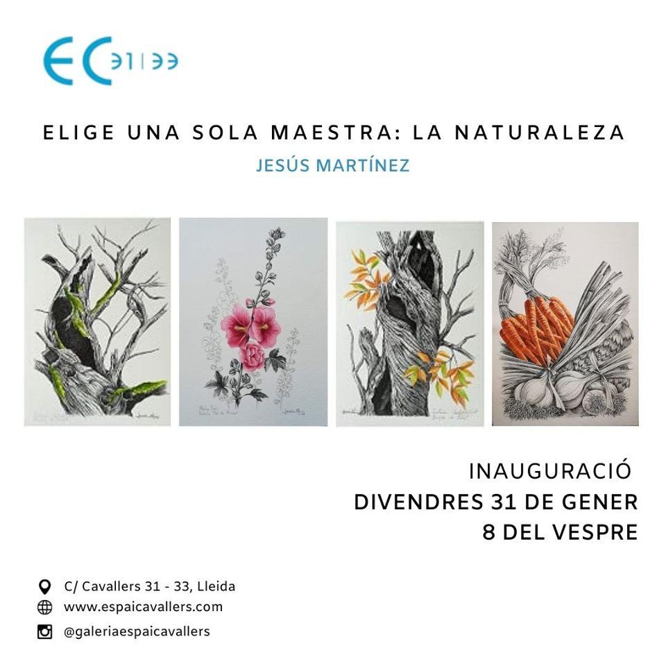 Elige solo una maestra: la naturaleza