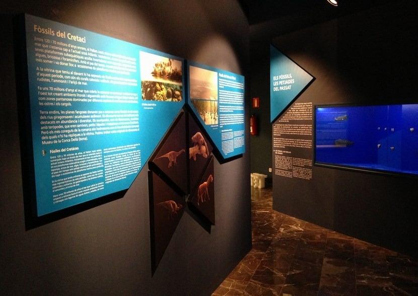Nit dels Museus | Epicentre