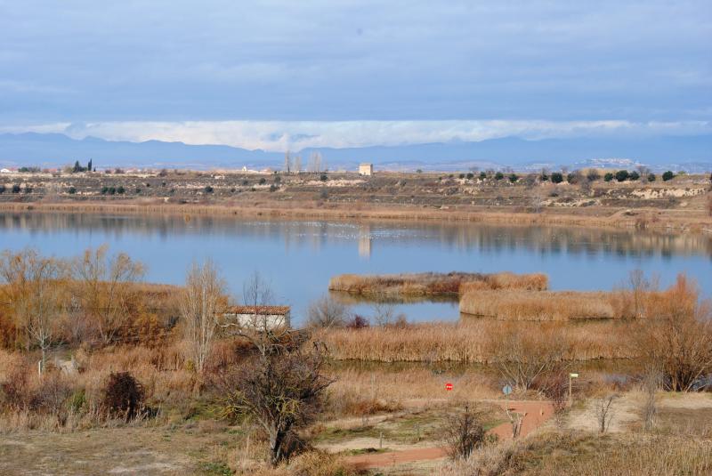 L'estany d'Ivars i Vila-sana.