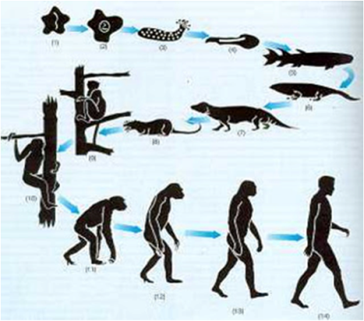 Conferència: Evolució de les espècies. Una de les teories més importants de la història de la humanitat