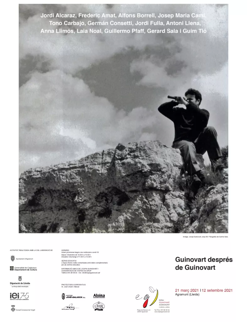 Guinovart després de Guinovart