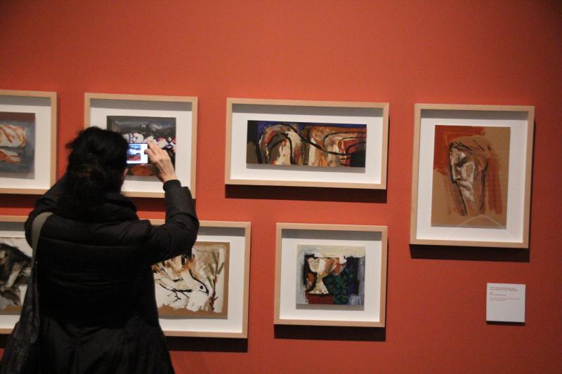 L'exposició de Víctor P. Pallarés al Museu de Lleida / SEGRE