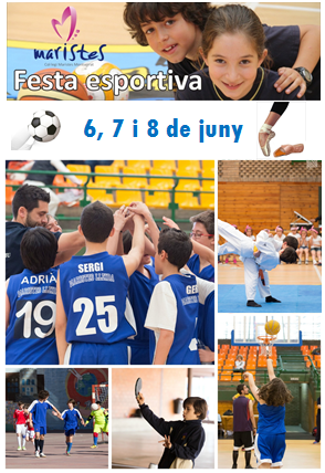 Festa Esportiva
