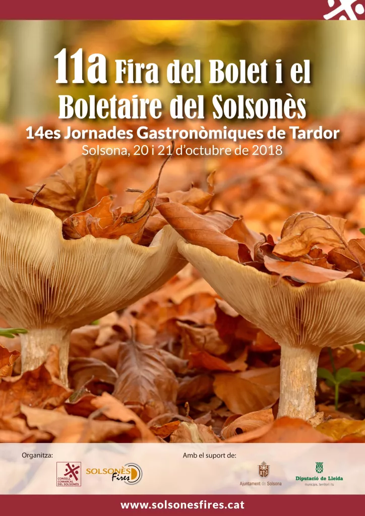 Fira del bolet i el boletaire del Solsonès
