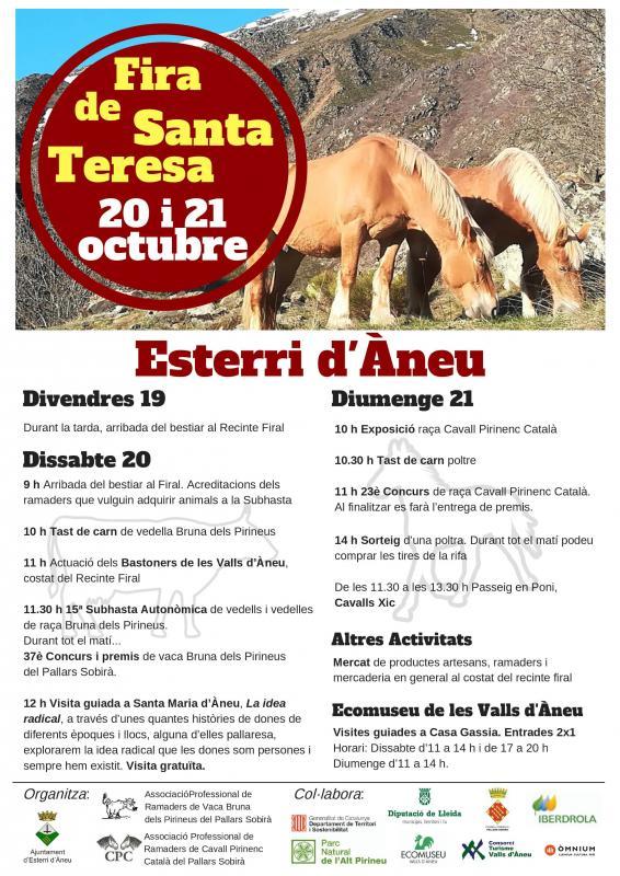 Fira de Santa Teresa