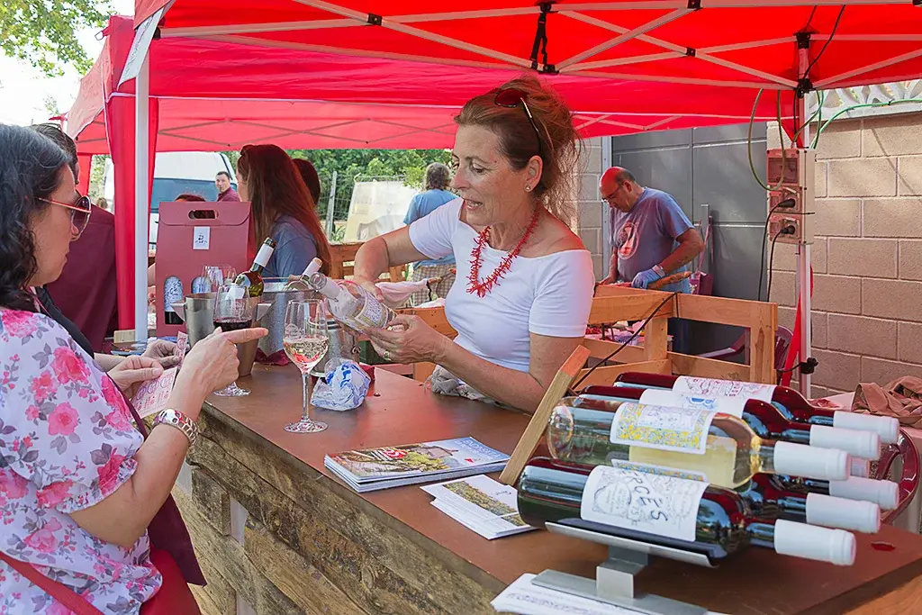 DVins: Mostra de Vins i Caves de Proximitat